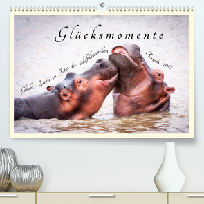 Glücksmomente Glücks-Zitate zu Fotos der großartigen südafrikanischen Tierwelt (Premium, hochwertiger DIN A2 Wandkalender 2023, Kunstdruck in Hochglanz) von Innere Stärke,  Lebensfreude