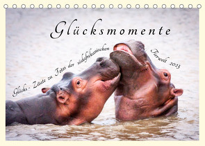 Glücksmomente Glücks-Zitate zu Fotos der großartigen südafrikanischen Tierwelt (Tischkalender 2023 DIN A5 quer) von Innere Stärke,  Lebensfreude
