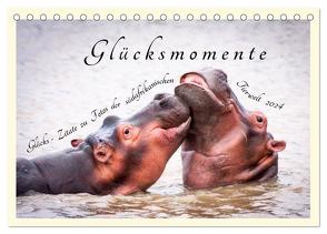 Glücksmomente Glücks-Zitate zu Fotos der großartigen südafrikanischen Tierwelt (Tischkalender 2024 DIN A5 quer), CALVENDO Monatskalender von Innere Stärke,  Lebensfreude