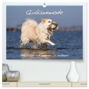 Glücksmomente – Unterwegs mit meinem Islandhund (hochwertiger Premium Wandkalender 2024 DIN A2 quer), Kunstdruck in Hochglanz von Scheurer,  Monika