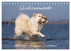 Glücksmomente – Unterwegs mit meinem Islandhund (Tischkalender 2024 DIN A5 quer), CALVENDO Monatskalender von Scheurer,  Monika
