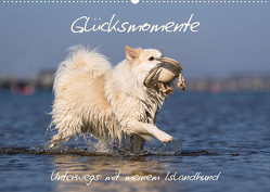 Glücksmomente – Unterwegs mit meinem Islandhund (Wandkalender 2023 DIN A2 quer) von Scheurer,  Monika
