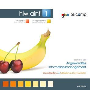 go te.comp – HLW Angewandtes Informationsmanagement 1 (inkl. Trainingssoftware) von Tassatti,  Christian