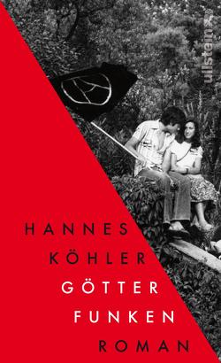 Götterfunken von Köhler,  Hannes