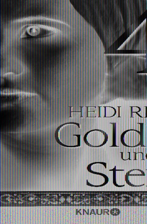 Gold und Stein 4 von Rehn,  Heidi