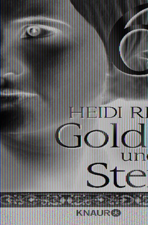 Gold und Stein 6 von Rehn,  Heidi