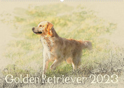 Golden Retriever 2023 (Wandkalender 2023 DIN A2 quer) von Redecker,  Andrea