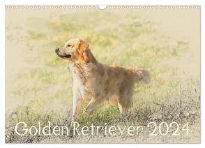 Golden Retriever 2024 (Wandkalender 2024 DIN A3 quer), CALVENDO Monatskalender von Redecker,  Andrea