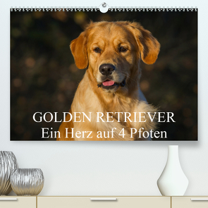 Golden Retriever – Ein Herz auf 4 Pfoten (Premium, hochwertiger DIN A2 Wandkalender 2021, Kunstdruck in Hochglanz) von Starick,  Sigrid
