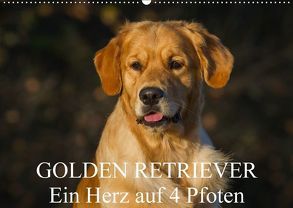 Golden Retriever – Ein Herz auf 4 Pfoten (Wandkalender 2018 DIN A2 quer) von Starick,  Sigrid