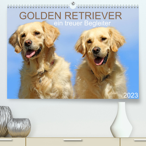 Golden Retriever ein treuer Begleiter (Premium, hochwertiger DIN A2 Wandkalender 2023, Kunstdruck in Hochglanz) von SchnelleWelten