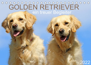 Golden Retriever ein treuer Begleiter (Tischkalender 2022 DIN A5 quer) von SchnelleWelten