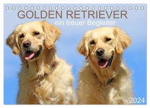 Golden Retriever ein treuer Begleiter (Tischkalender 2024 DIN A5 quer), CALVENDO Monatskalender von SchnelleWelten,  SchnelleWelten