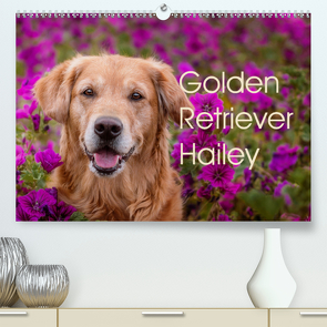 Golden Retriever Hailey Fotokalender (Premium, hochwertiger DIN A2 Wandkalender 2020, Kunstdruck in Hochglanz) von Hofmeister,  Daniela