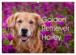 Golden Retriever Hailey Fotokalender (Wandkalender 2024 DIN A2 quer), CALVENDO Monatskalender von Hofmeister,  Daniela