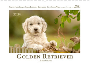 Golden Retriever… Herzenshunde (Wandkalender 2024 DIN A2 quer), CALVENDO Monatskalender von Wrede - Wredefotografie,  Martina