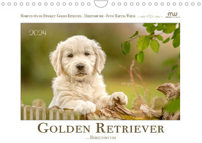 Golden Retriever… Herzenshunde (Wandkalender 2024 DIN A4 quer) von Wrede - Wredefotografie,  Martina