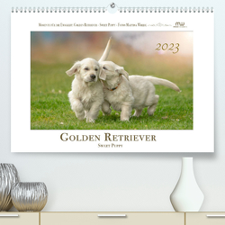 Golden Retriever – Sweet Puppy (Premium, hochwertiger DIN A2 Wandkalender 2023, Kunstdruck in Hochglanz) von Wrede,  Martina