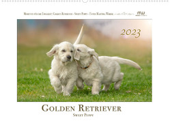 Golden Retriever – Sweet Puppy (Wandkalender 2023 DIN A2 quer) von Wrede,  Martina