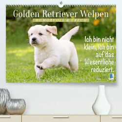 Golden Retriever Welpen: Humorvoll und frech (Premium, hochwertiger DIN A2 Wandkalender 2023, Kunstdruck in Hochglanz) von CALVENDO