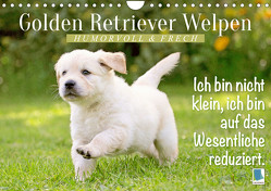 Golden Retriever Welpen: Humorvoll und frech (Wandkalender 2023 DIN A4 quer) von CALVENDO