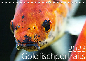 Goldfischportraits (Tischkalender 2023 DIN A5 quer) von Wirtz,  Hanne