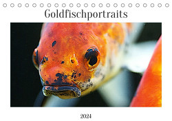 Goldfischportraits (Tischkalender 2024 DIN A5 quer), CALVENDO Monatskalender von Wirtz,  Hanne