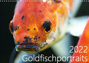 Goldfischportraits (Wandkalender 2022 DIN A3 quer) von Wirtz,  Hanne
