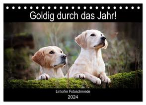 Goldig durch das Jahr! (Tischkalender 2024 DIN A5 quer), CALVENDO Monatskalender von Bohlmann,  Jennifer