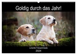 Goldig durch das Jahr! (Wandkalender 2024 DIN A2 quer), CALVENDO Monatskalender von Bohlmann,  Jennifer