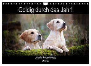 Goldig durch das Jahr! (Wandkalender 2024 DIN A4 quer), CALVENDO Monatskalender von Bohlmann,  Jennifer