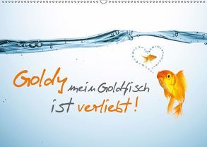 Goldy mein Goldfisch ist verliebt! (Wandkalender 2019 DIN A2 quer) von rclassen