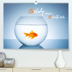 Goldy – mein Goldfisch (Premium, hochwertiger DIN A2 Wandkalender 2023, Kunstdruck in Hochglanz) von rclassen
