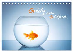 Goldy – mein Goldfisch (Tischkalender 2024 DIN A5 quer), CALVENDO Monatskalender von rclassen,  rclassen