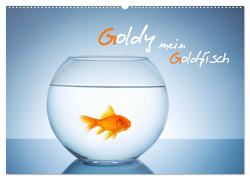 Goldy – mein Goldfisch (Wandkalender 2024 DIN A2 quer), CALVENDO Monatskalender von rclassen,  rclassen