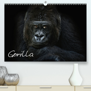 Gorilla (Premium, hochwertiger DIN A2 Wandkalender 2020, Kunstdruck in Hochglanz) von Pinkawa / Jo.PinX,  Joachim