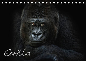Gorilla (Tischkalender 2023 DIN A5 quer) von Pinkawa / Jo.PinX,  Joachim