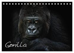 Gorilla (Tischkalender 2024 DIN A5 quer), CALVENDO Monatskalender von Pinkawa / Jo.PinX,  Joachim
