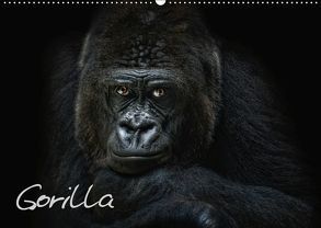 Gorilla (Wandkalender 2019 DIN A2 quer) von Pinkawa / Jo.PinX,  Joachim