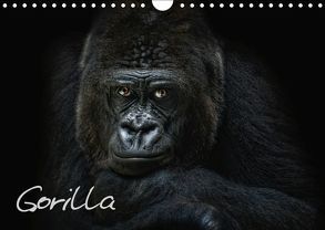 Gorilla (Wandkalender 2019 DIN A4 quer) von Pinkawa / Jo.PinX,  Joachim