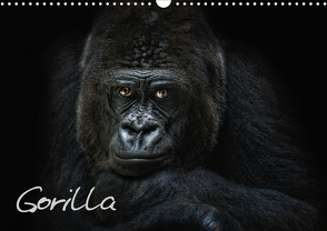 Gorilla (Wandkalender 2021 DIN A3 quer) von Pinkawa / Jo.PinX,  Joachim