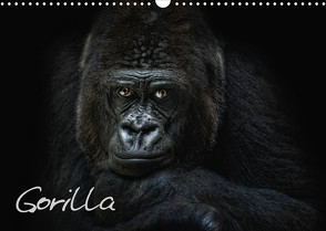 Gorilla (Wandkalender 2022 DIN A3 quer) von Pinkawa / Jo.PinX,  Joachim