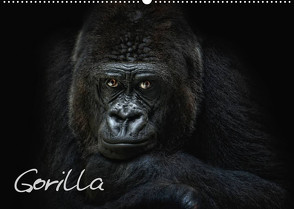 Gorilla (Wandkalender 2023 DIN A2 quer) von Pinkawa / Jo.PinX,  Joachim