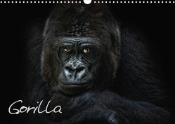 Gorilla (Wandkalender 2023 DIN A3 quer) von Pinkawa / Jo.PinX,  Joachim