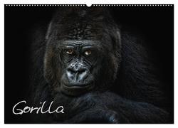 Gorilla (Wandkalender 2024 DIN A2 quer), CALVENDO Monatskalender von Pinkawa / Jo.PinX,  Joachim