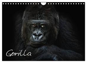 Gorilla (Wandkalender 2024 DIN A4 quer), CALVENDO Monatskalender von Pinkawa / Jo.PinX,  Joachim