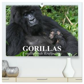Gorillas. Friedliebende Kraftpakete (hochwertiger Premium Wandkalender 2024 DIN A2 quer), Kunstdruck in Hochglanz von Stanzer,  Elisabeth