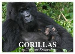 Gorillas. Friedliebende Kraftpakete (Wandkalender 2024 DIN A2 quer), CALVENDO Monatskalender von Stanzer,  Elisabeth