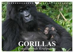 Gorillas. Friedliebende Kraftpakete (Wandkalender 2024 DIN A4 quer), CALVENDO Monatskalender von Stanzer,  Elisabeth