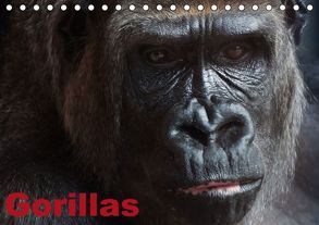 Gorillas / Geburtstagskalender (Tischkalender immerwährend DIN A5 quer) von Stanzer,  Elisabeth